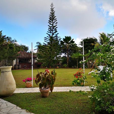 Bungalow Maelie La Trinité Exterior photo